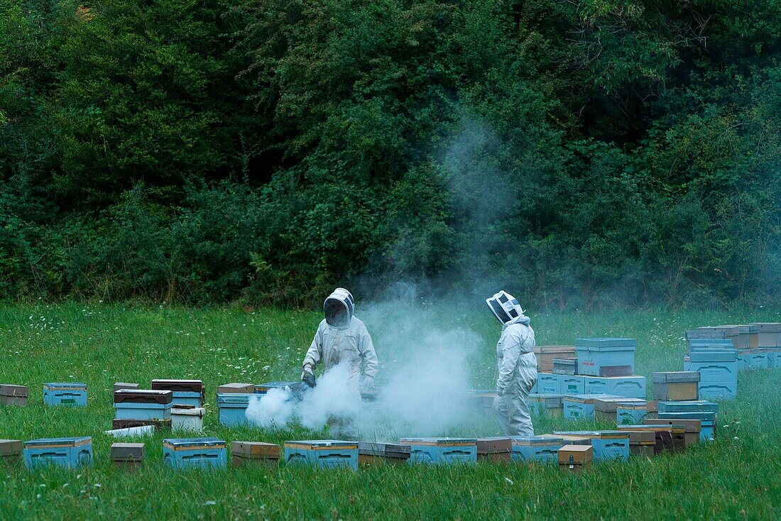 Pedro Arto Beekeeper, Aragües del Puerto Village, Jacetania, Huesca, Aragon, Spain, Europe.