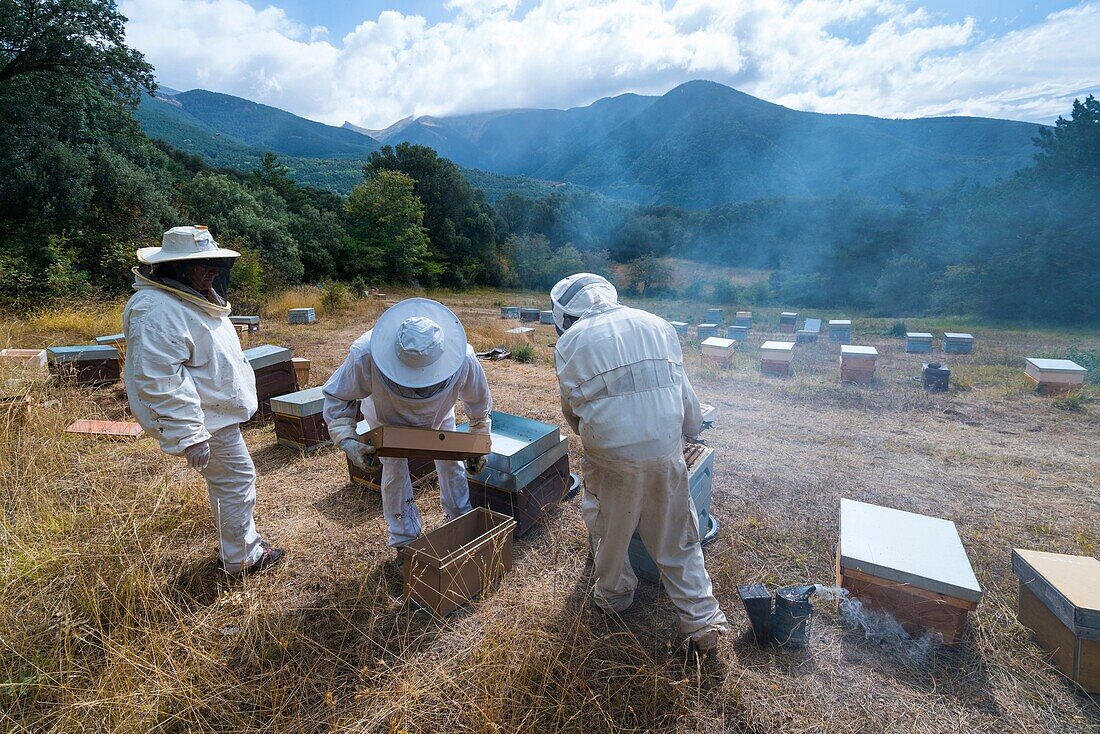 Pedro Arto Beekeeper, Aragües del Puerto Dorf, Jacetania, Huesca, Aragonien, Spanien, Europa.