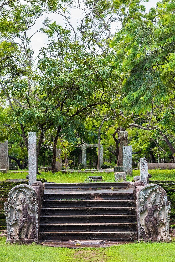 Nagaraja Guardstones at the Ruins of the Monastic Residential Complex, Ahbayagiri Monastery, Sacred City of Anuradhapura, North Central Province, Sri Lanka, Asia.