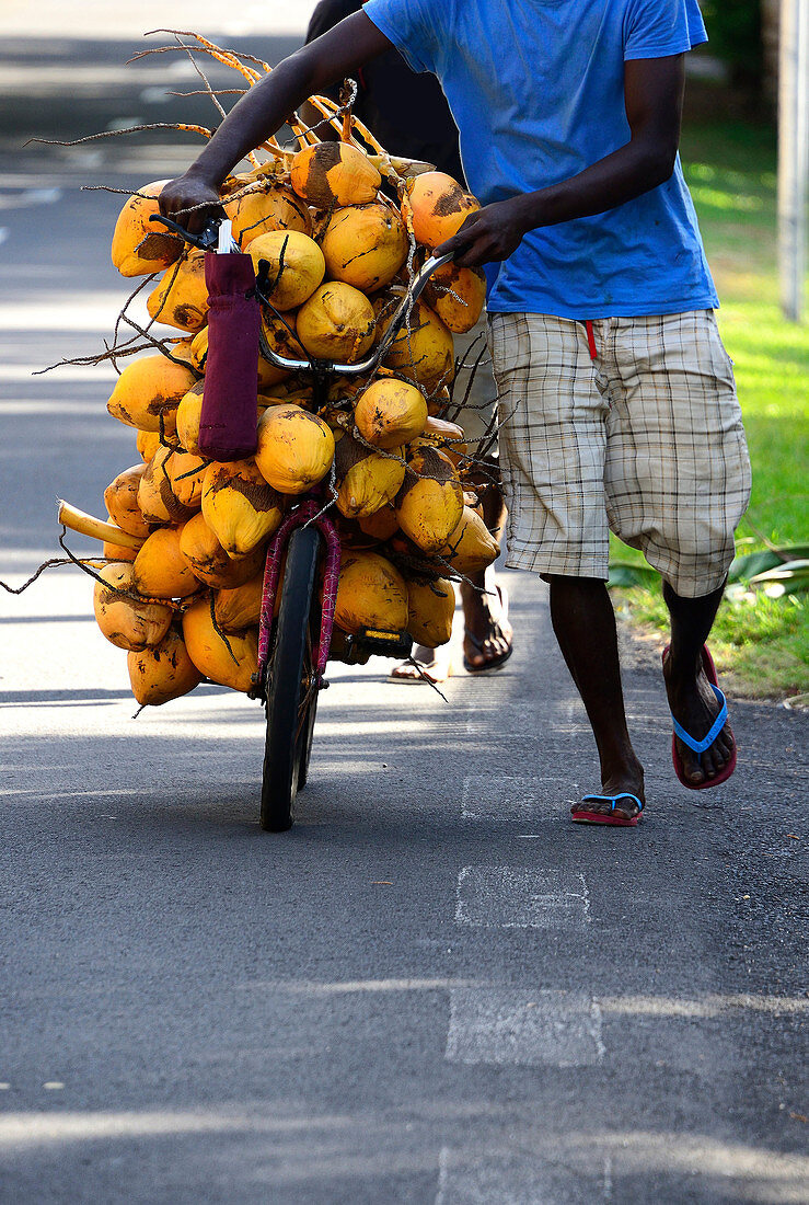 Man carrying coconuts for sale on his bicycle, Blue Bay, Grand Port district, Mauritius, Africa