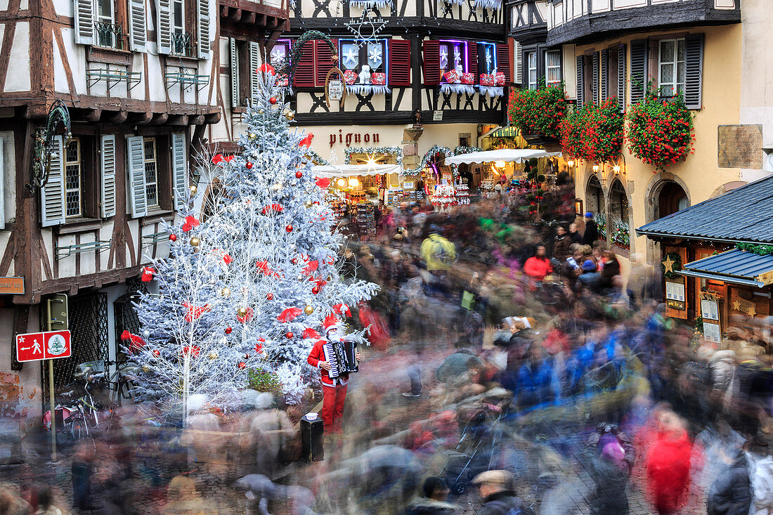 Christmas tree and Santa Claus in the pedestrian roads of the old town, Colmar, Haut-Rhin department, Alsace, France, Europe