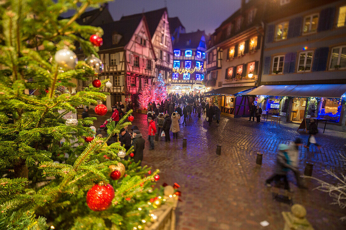 Colourful lights on Christmas trees and ornaments at dusk, Colmar, Haut-Rhin department, Alsace, France, Europe