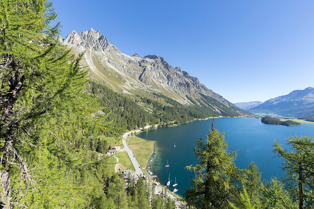 View of the blue Lake Sils from Plaun da Lej, Canton of Graubunden, Engadine, Switzerland, Europe