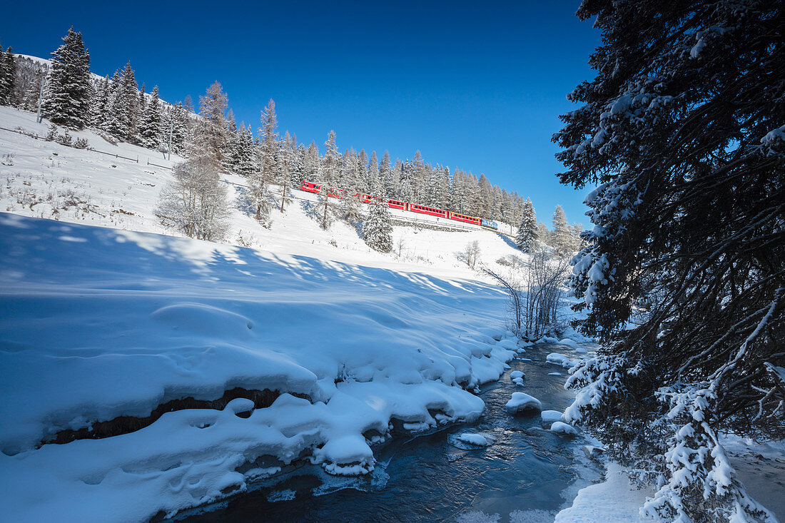 Rhaetian Railway on the Chapella Viadukt surrounded by snowy woods, Canton of Graubunde, Engadine, Swiss Alps, Switzerland, Europe