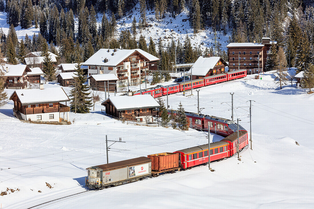 Red train of Rhaetian Railway passes in the snowy landscape of Arosa, district of Plessur, Canton of Graubunden, Switzerland, Europe