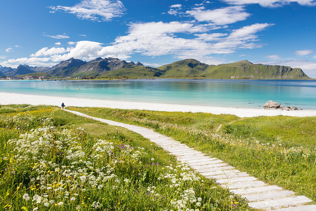 Green meadows and flowers surrounded by turquoise sea and fine sand, Ramberg, Lofoten Islands, Norway, Scandinavia, Europe