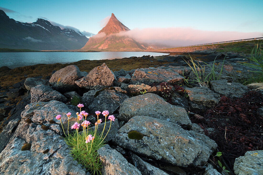 View of the rocky peak of Volanstinden lit by the midnight sun surrounded by sea, Fredvang, Moskenesoya, Lofoten Islands, Norway, Scandinavia, Europe