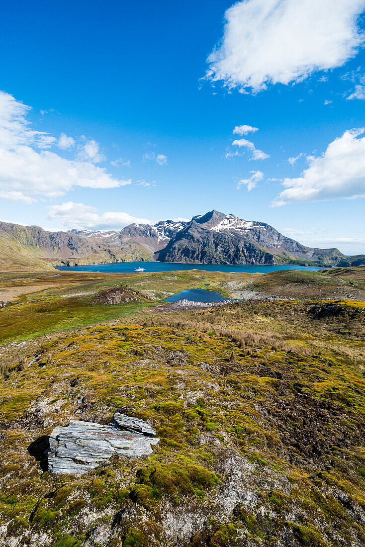 Overlook over the bay of Godthul, South Georgia, Antarctica, Polar Regions