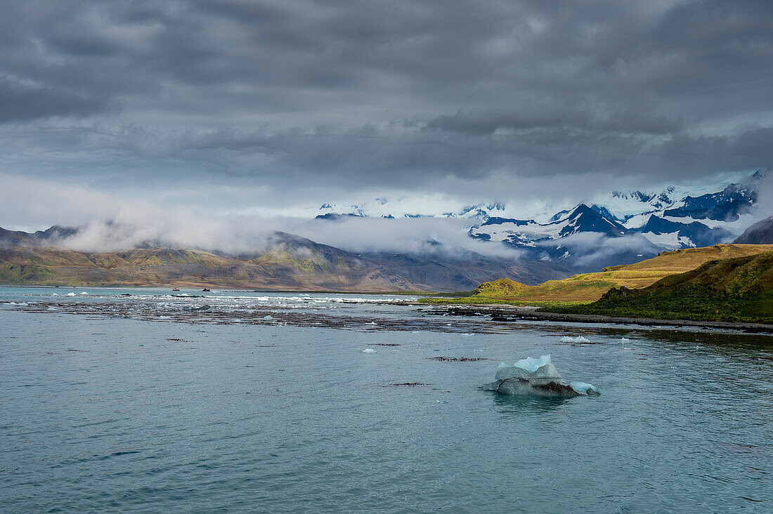 The bay of Grytviken, South Georgia, Antarctica, Polar Regions