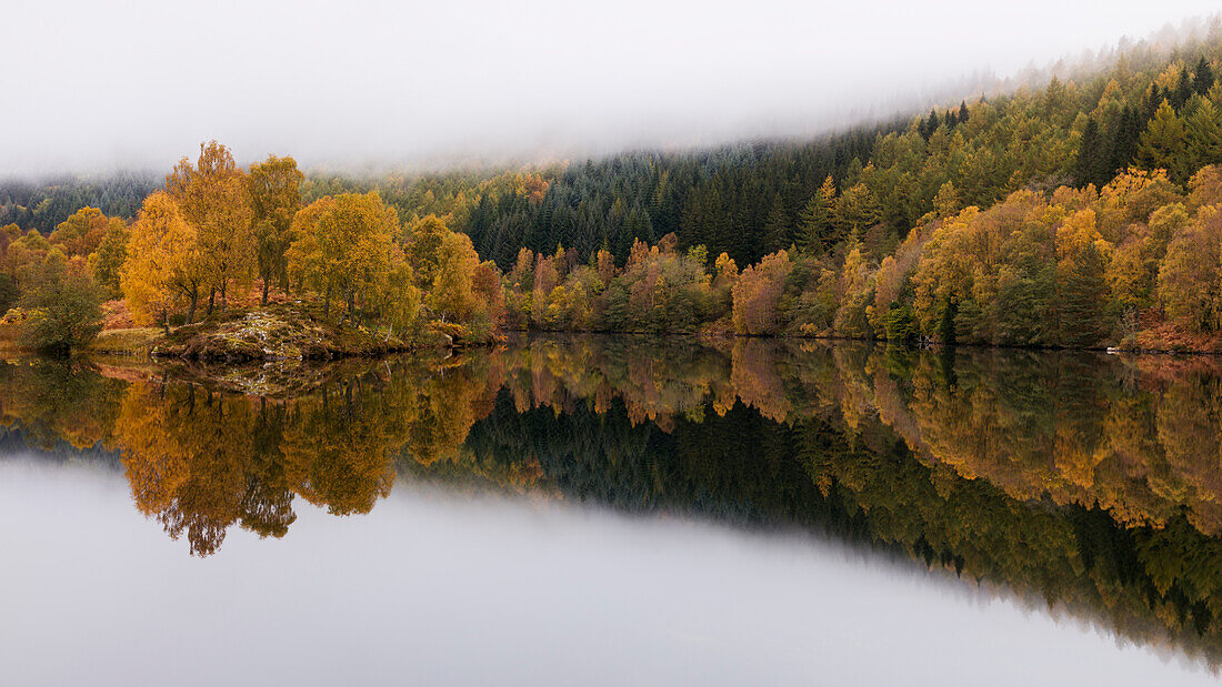 Trees in autumn colour reflected like in a mirror in Loch Tummel, Scottish Highlands, Scotland, United Kingdom, Europe