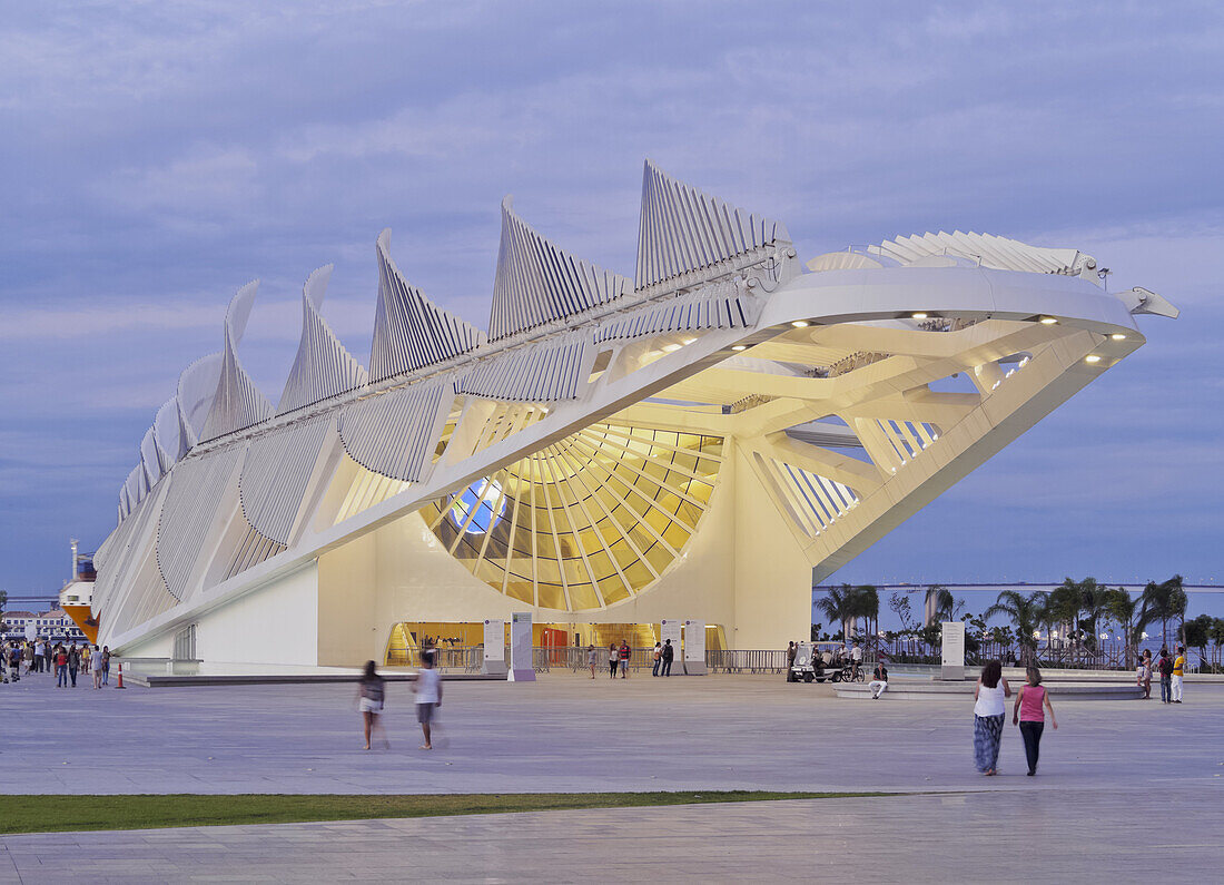 Twilight view of the Museum of Tomorrow (Museu do Amanha) by Santiago Calatrava, Praca Maua, Rio de Janeiro, Brazil, South America