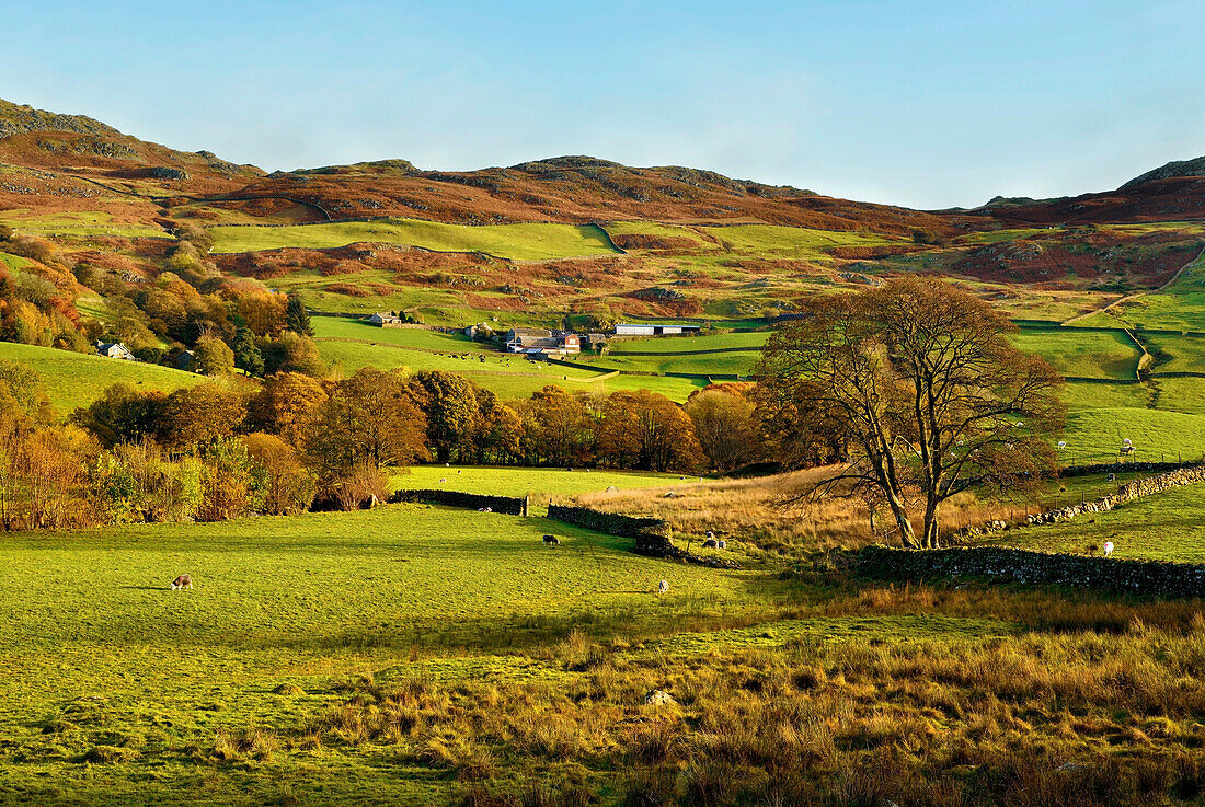 An autumn view of the scenic Duddon Valley, Lake District National Park, Cumbria, England, United Kingdom, Europe