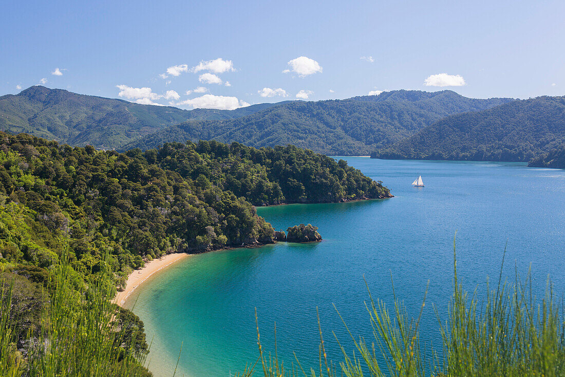 View over Governors Bay and Grove Arm, Queen Charlotte Sound (Marlborough Sounds), near Picton, Marlborough, South Island, New Zealand, Pacific