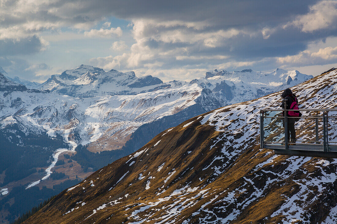 View from Grindelwald First, Jungfrau region, Bernese Oberland, Swiss Alps, Switzerland, Europe