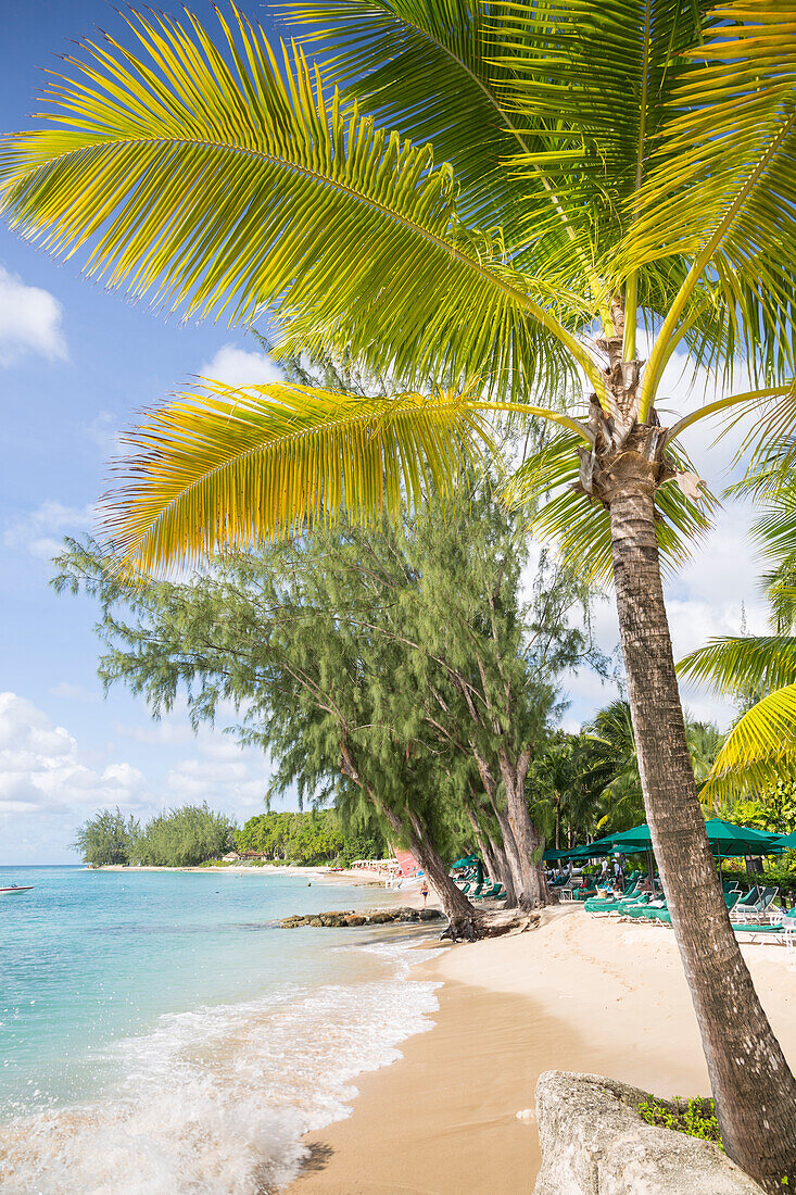 Beach, Holetown, St. James, Barbados, West Indies, Caribbean, Central America