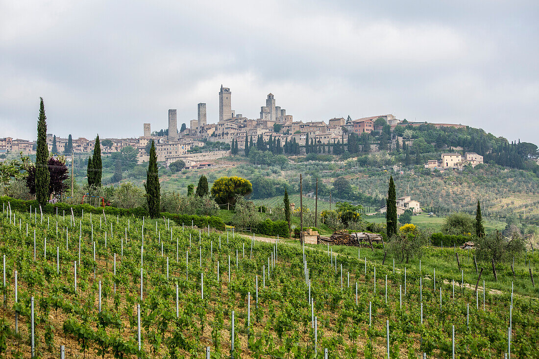 View of the town of San Gimignano, Orcia Valley, Siena district, Tuscany, Italy