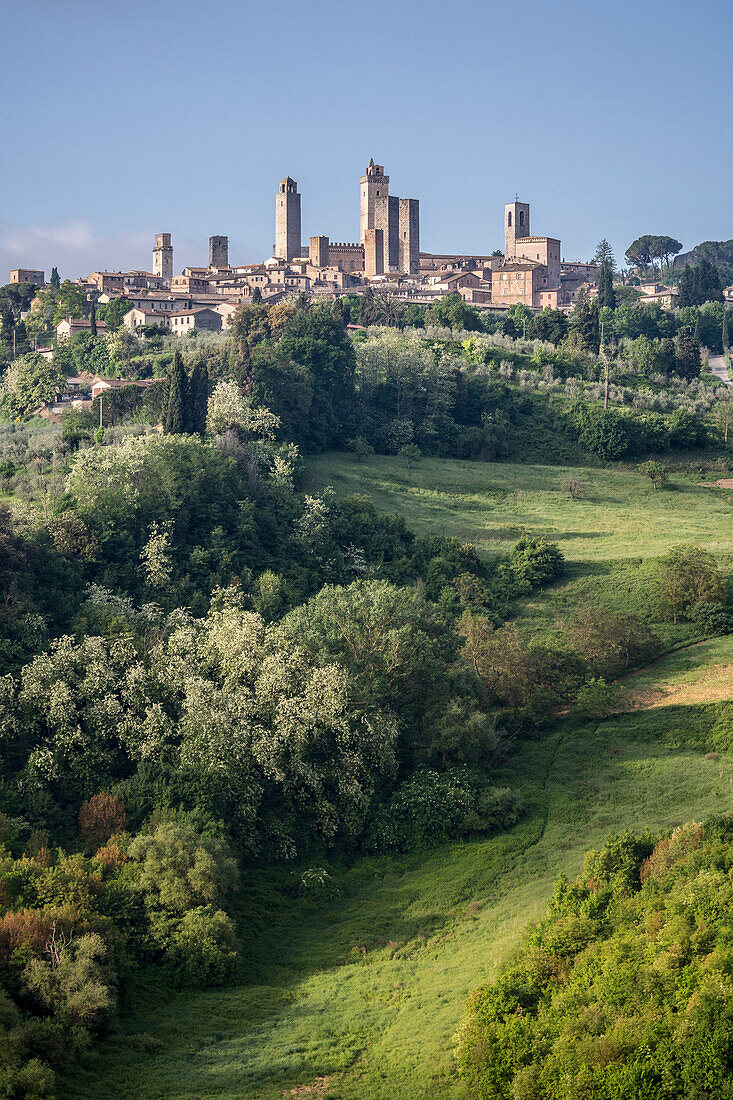 View of the town of San Gimignano, Orcia Valley, Siena district, Tuscany, Italy