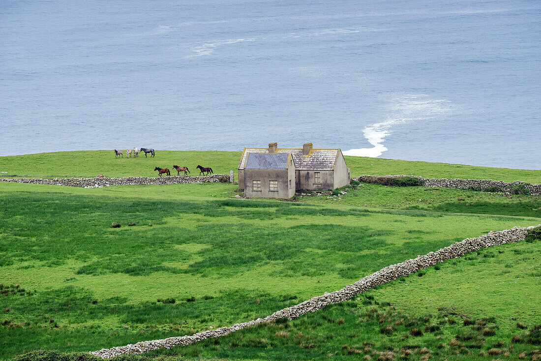 Irish landscape with cottages and horses near Doolin, Munster, Co, Clare, Ireland, Europe