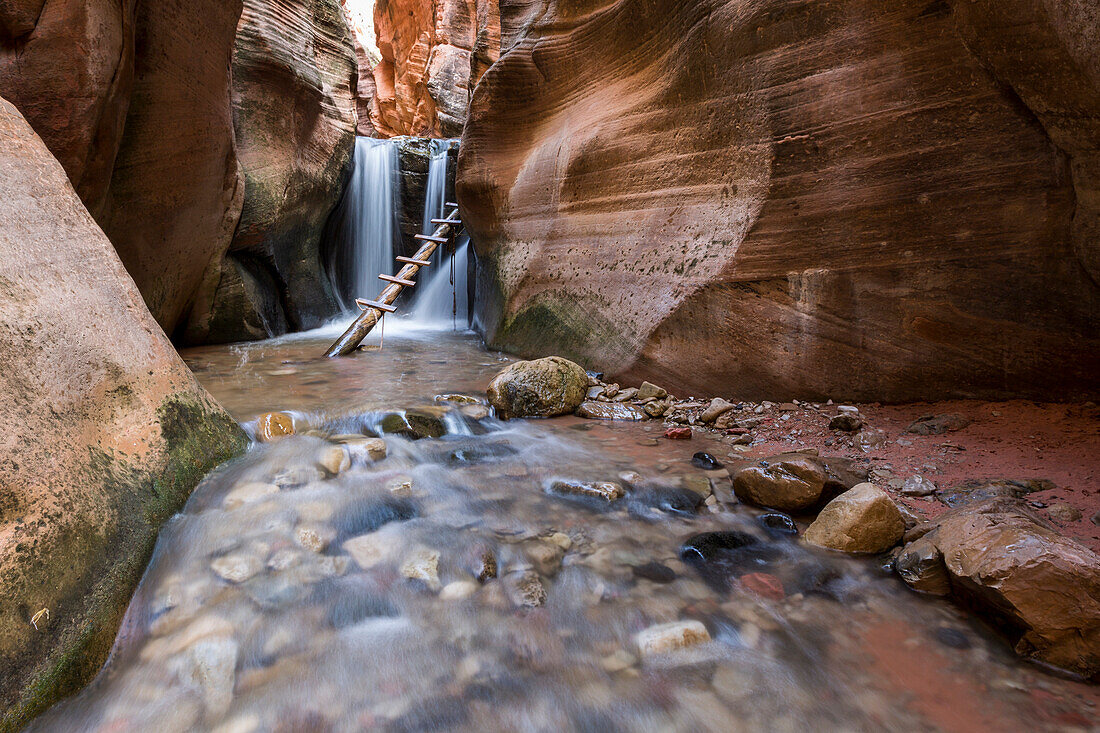 Waterfall and ladder in Kanarra Creek Canyon, Kanarraville, Iron County, Utah, USA
