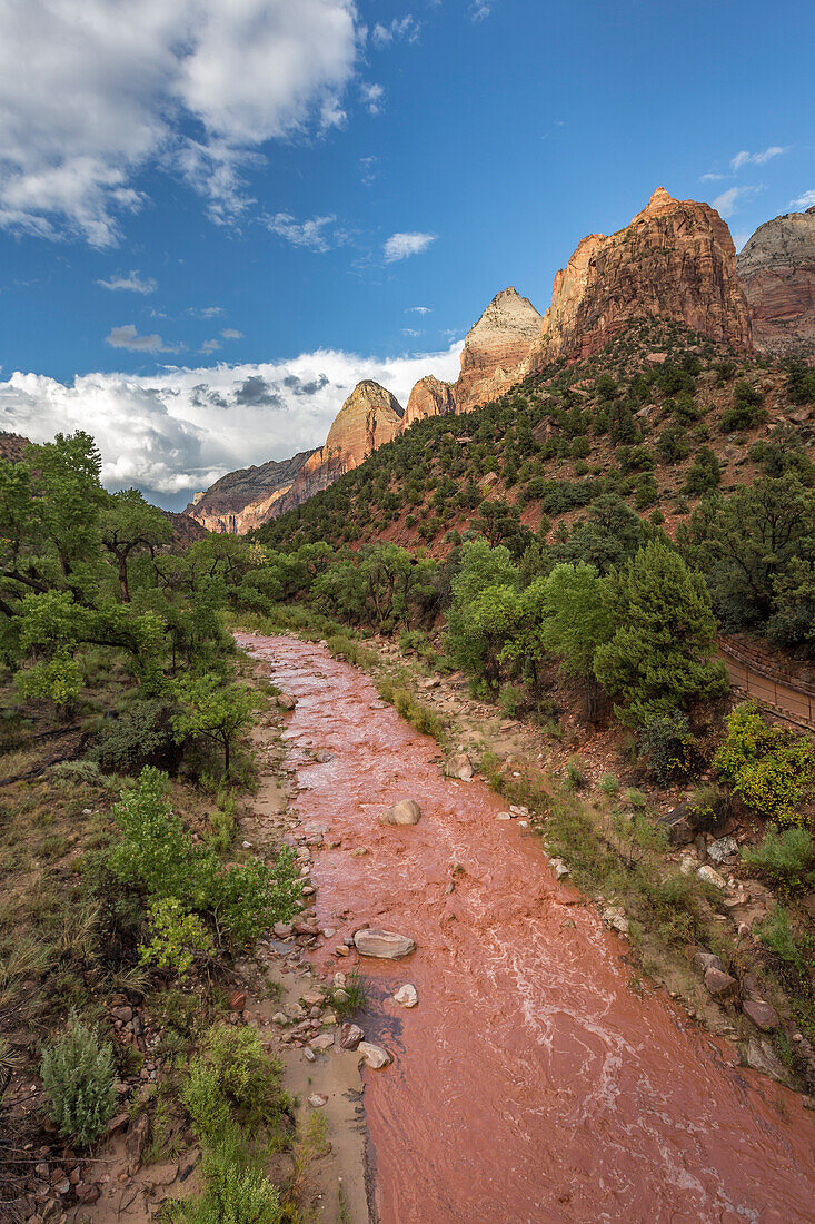 Virgin River after a sudden flash flood, Zion National Park, Hurricane, Washington County, Utah, USA