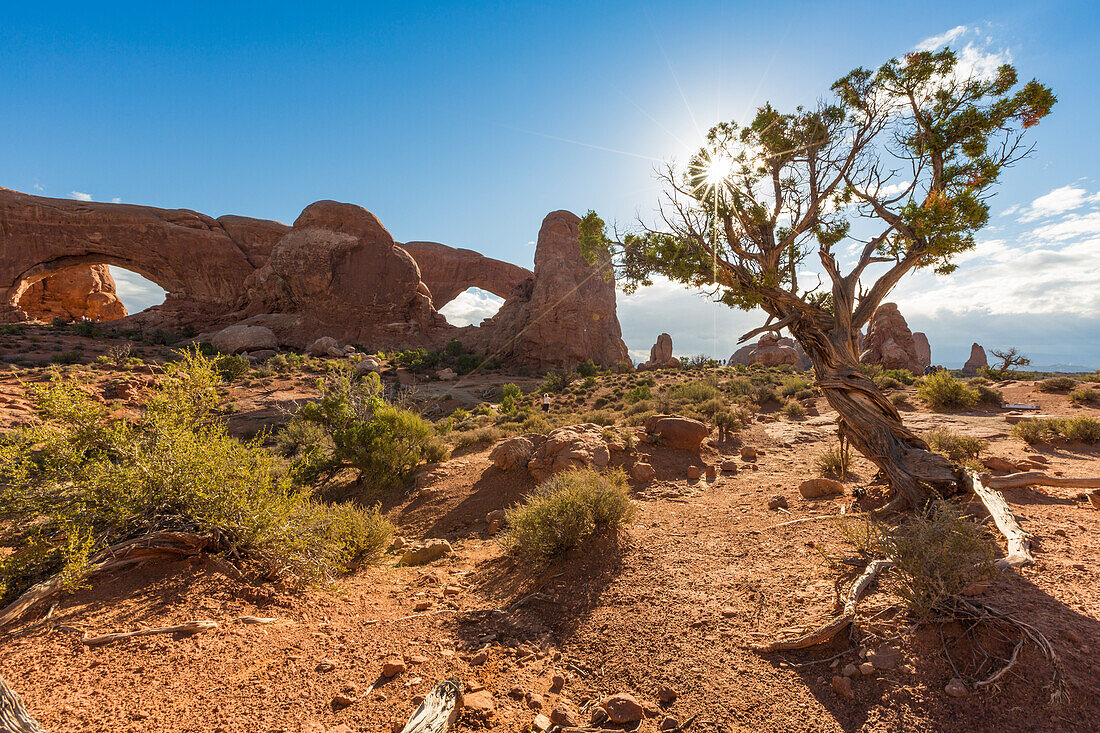 Tree and Turret Arch, Arches National Park, Moab, Grand County, Utah, USA