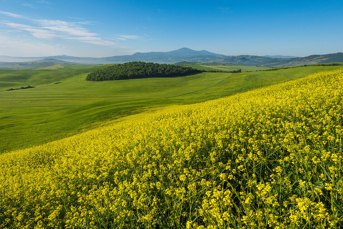 Val d'orcia , Tuscany, Italy