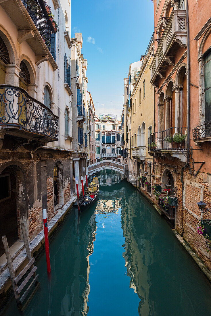 Venice , Veneto, Italy