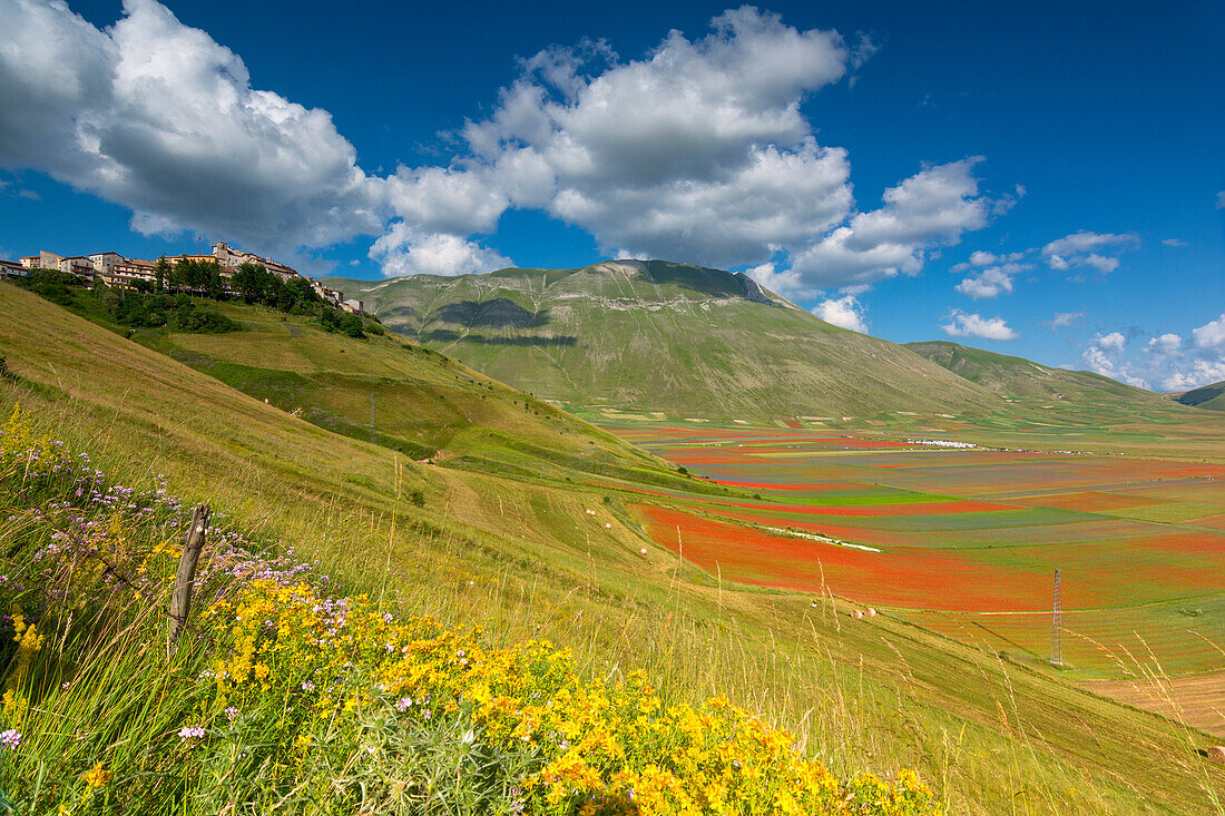 Europe, Italy, Umbria, Perugia district, Castelluccio of Norcia