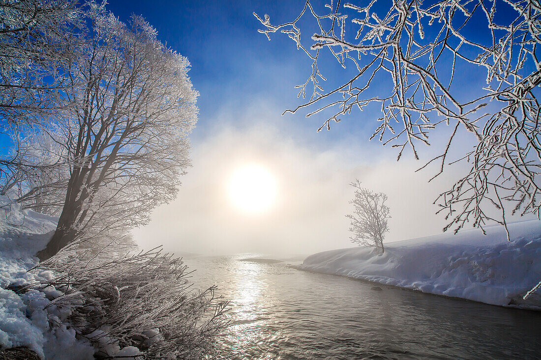 Snow and frost on the banks of the River Inn, Sils, Engadine, Switzerland, Europe