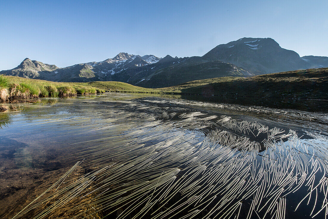 Peaks Suretta and Spadolazzo are reflected in Lake Andossi at sunrise Chiavenna Valley Valtellina Lombardy Italy Europe