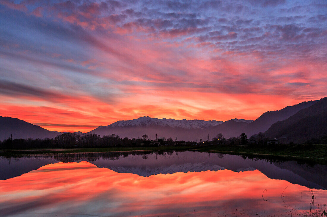 Natural reserve of Pian di Spagna flooded with snowy peaks reflected in the water at sunset Valtellina Lombardy Italy Europe