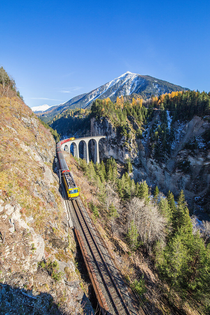 Bernina Express passes through Landwasser Viadukt surrounded by colorful woods Canton of Graub++nden Switzerland Europe