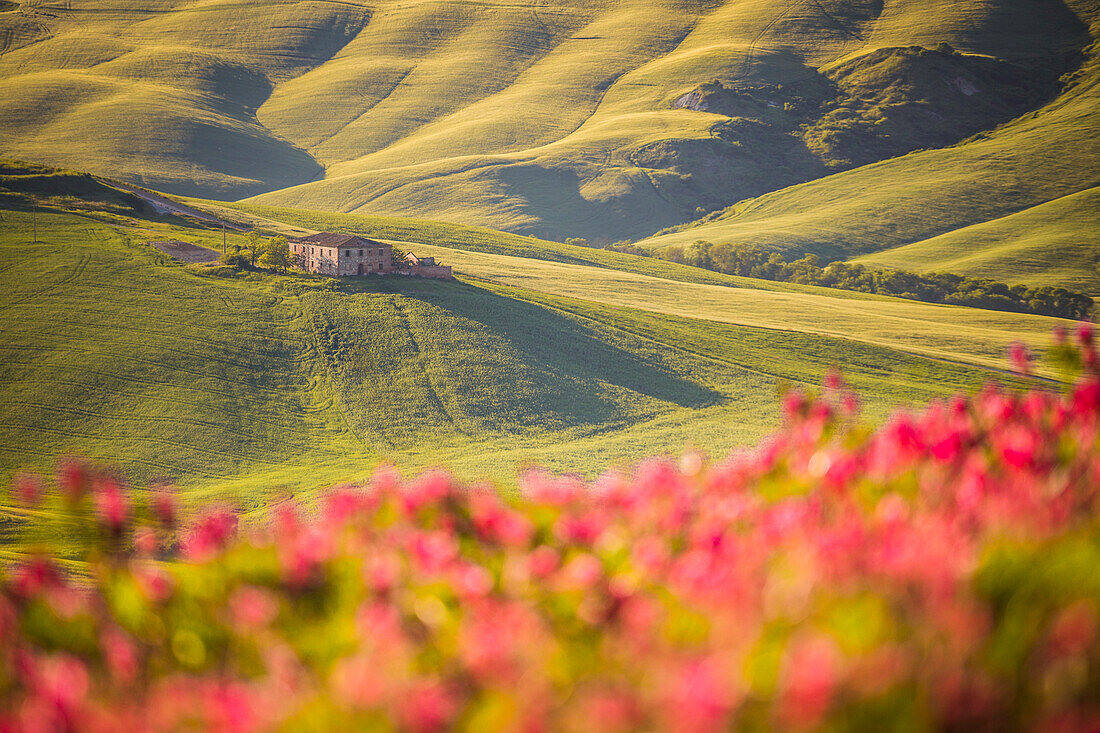 Asciano, Crete senesi, Tuscany, Italy