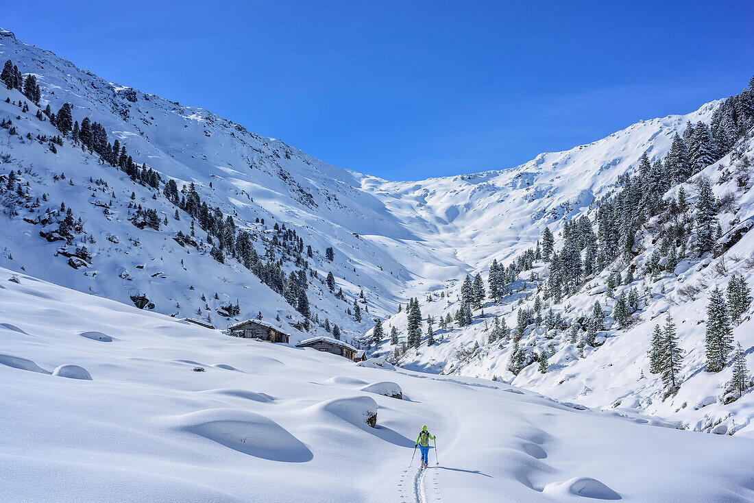 Woman backcountry skiing ascending through valley Frommgrund towards Ochsenkopf, alpine huts in background, Frommgrund, Ochsenkopf, Kitzbuehel Alps, Tyrol, Austria