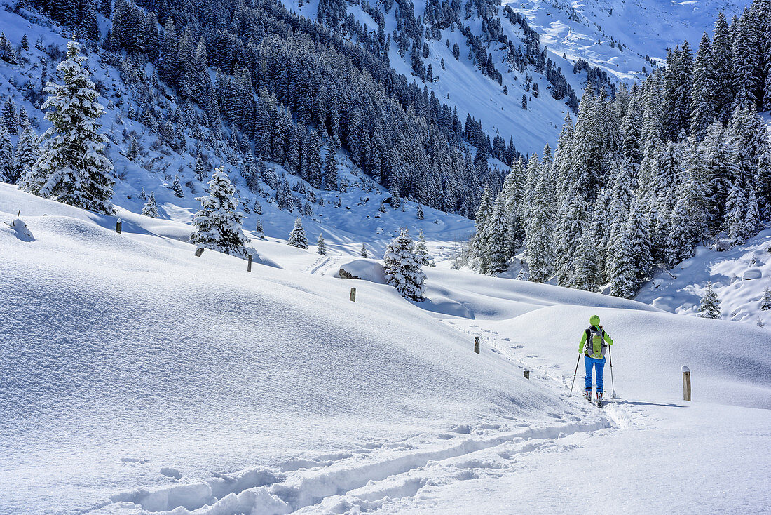 Woman backcountry skiing ascending through valley Frommgrund towards Ochsenkopf, Frommgrund, Ochsenkopf, Kitzbuehel Alps, Tyrol, Austria