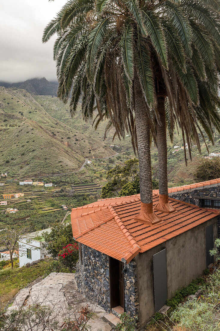 zwei Palmen wachsen durchs Dach, kurios, Architektur mit Natur, Ferienhaus, Design, Terrassenlandschaft bei Hermigua, La Gomera, Kanaren, Kanarische Inseln, Spanien