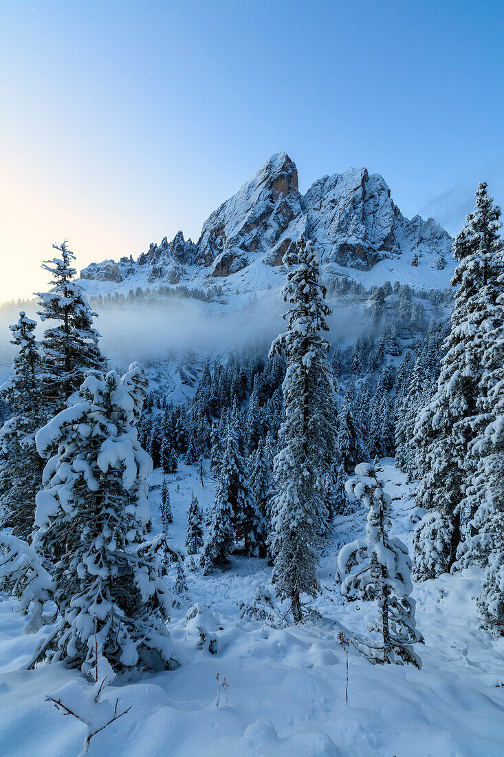The high peak of Sass De Putia frames the snowy woods at dawn, Passo Delle Erbe, Funes Valley, South Tyrol, Italy, Europe