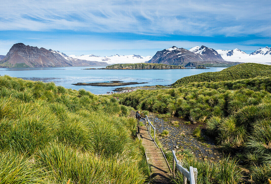 Walkway on Prion Island, South Georgia, Antarctica, Polar Regions