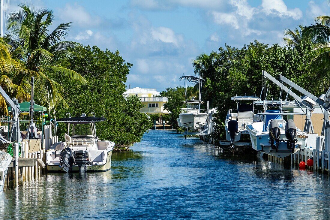 Florida, Upper Florida Keys, Key Largo, neighborhood, canal, waterfront homes, palm trees, boats, dry dock