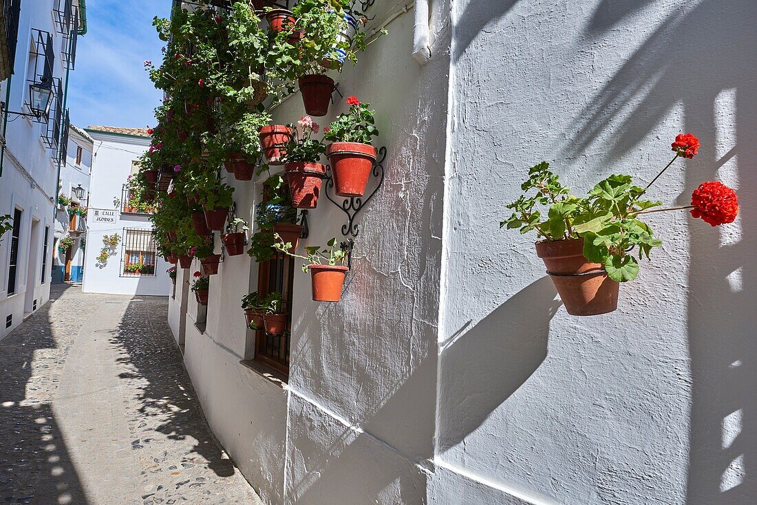 Flowerpots in Barrio de la Villa (old quarter), Priego de Cordoba, Sierra de la Subbetica, Route of the Caliphate, Cordoba province, Andalusia, Spain.