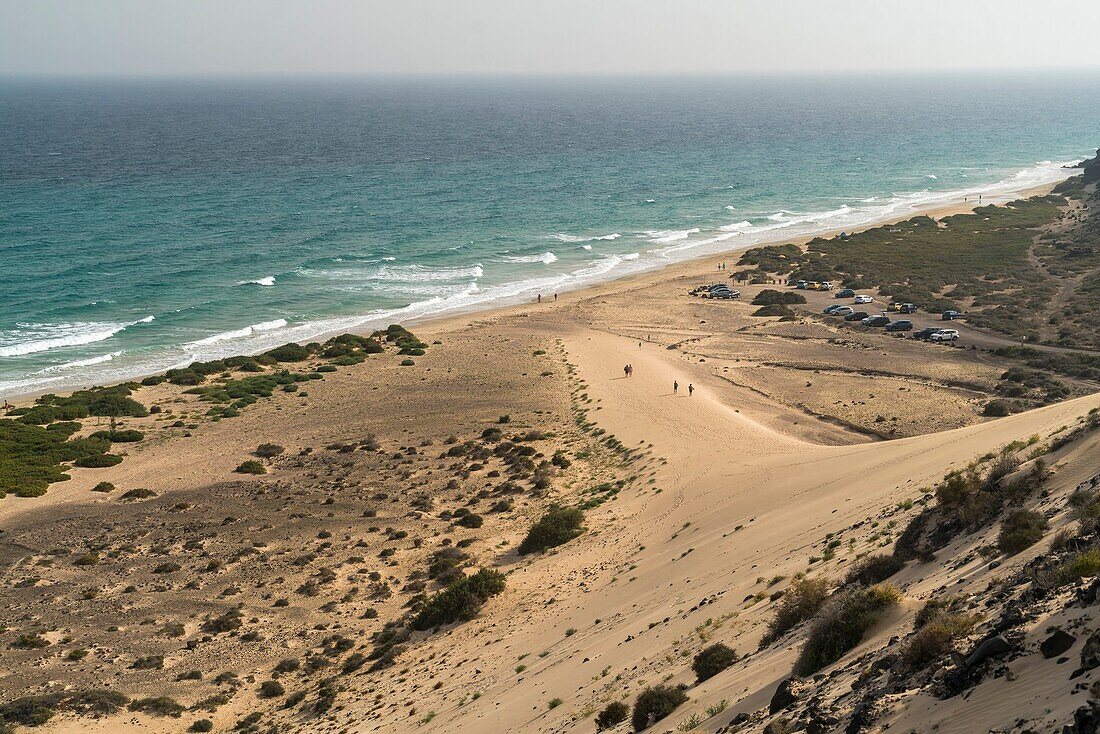 Beach dunes of Playa de Sotavento, Jandía Natural Park, Fuerteventura, Canary Islands, Spain.