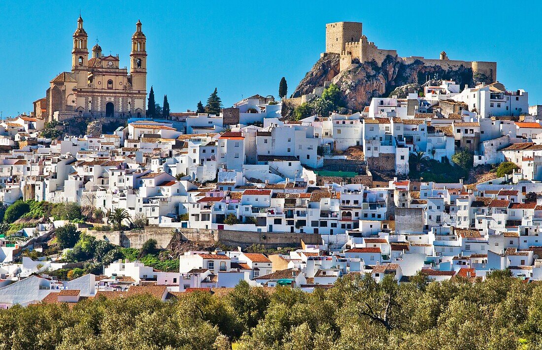 Nuestra Señora de la Encarnación church, Castle, Olvera, White Towns, Pueblos Blancos, Cadiz province, Andalusia, Spain, Europe.