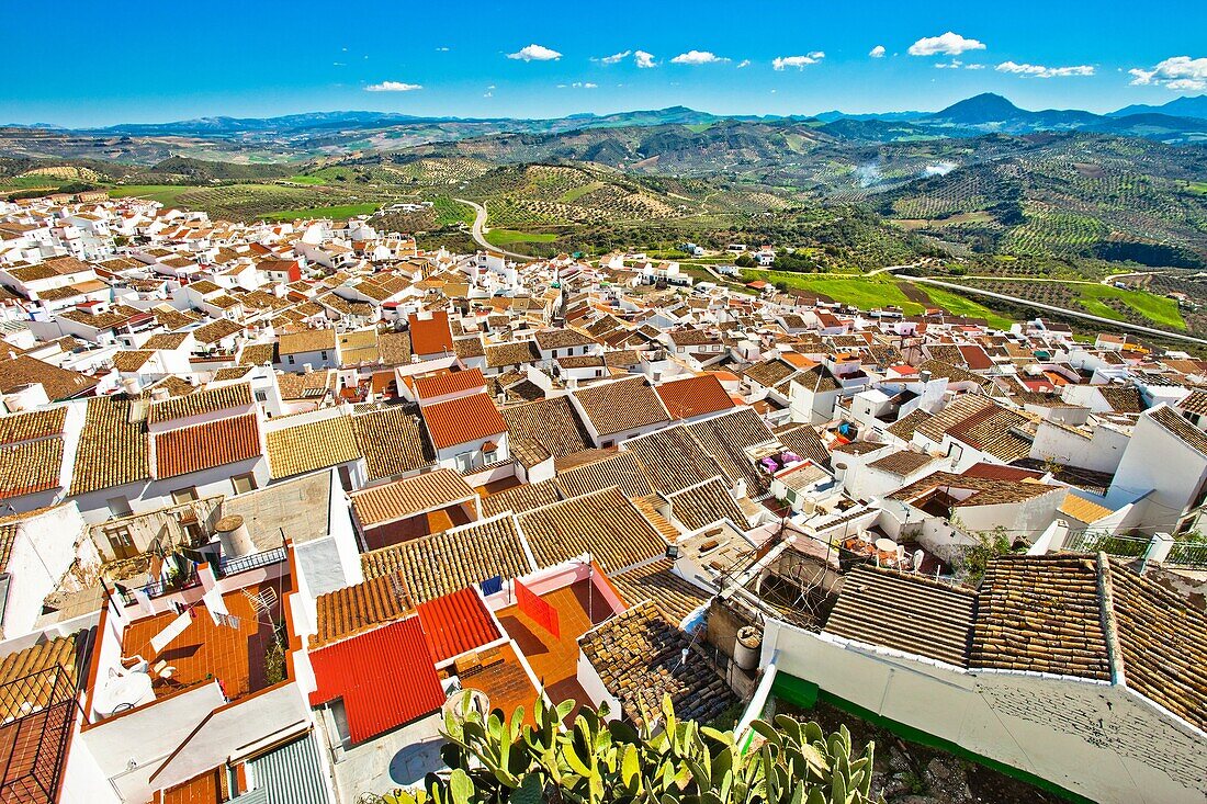 Olvera, White Towns, Pueblos Blancos, Sierra de Cádiz, Cadiz province, Andalusia, Spain, Europe.