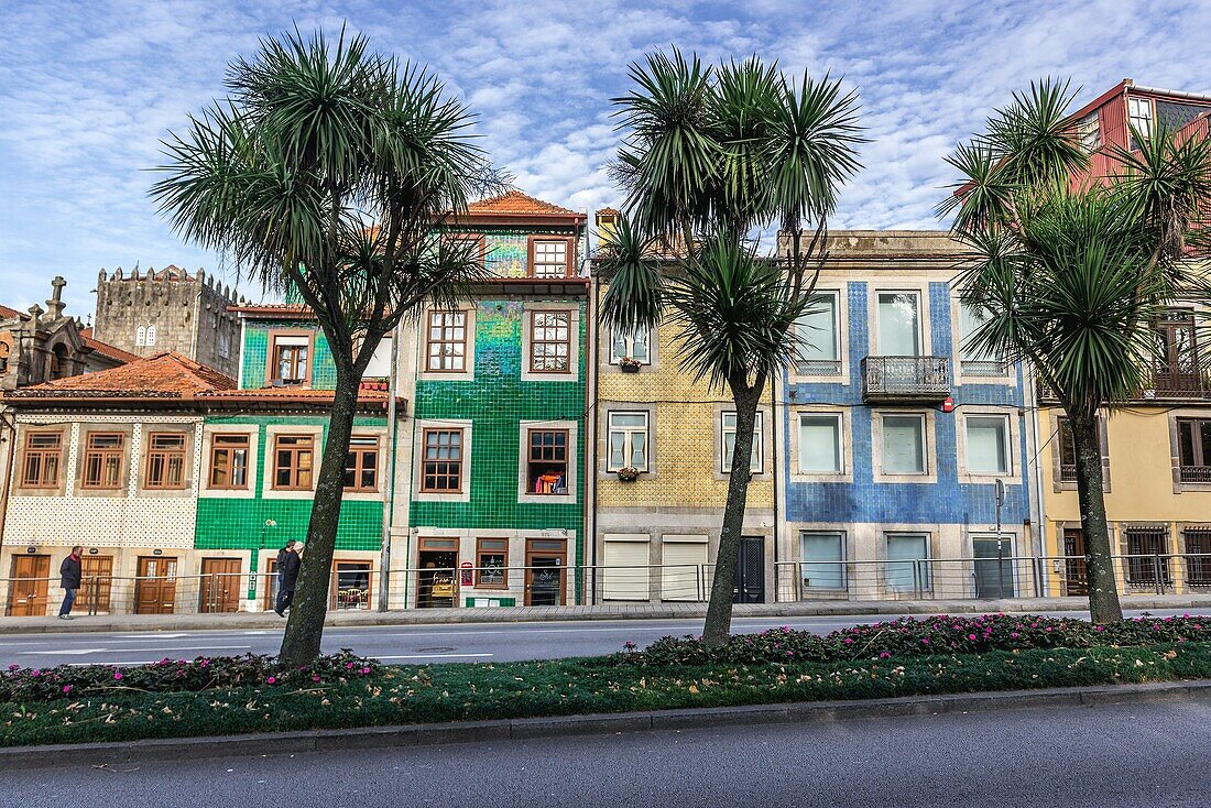 Town houses on Rua de Dom Manuel II street in Porto city on Iberian Peninsula, second largest city in Portugal.