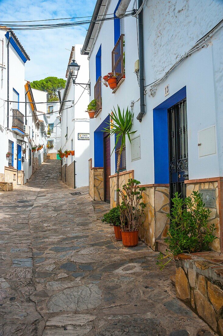 Narrow lane of the town Ubrique in the province of Cádiz, largest of the White Towns, Pueblos Blancos of Andalusia, Spain.