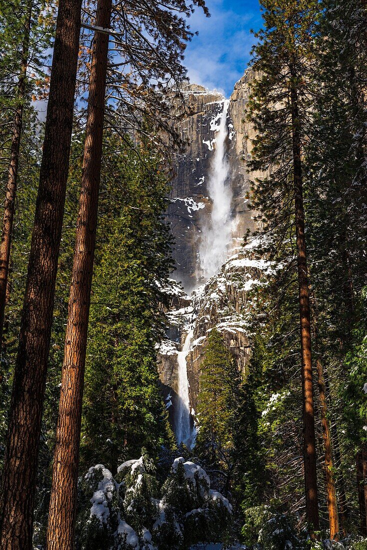 Yosemite Falls after a winter storm, Yosemite National Park, California USA.