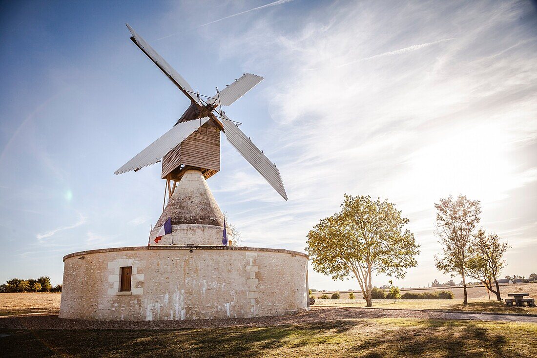 Windmill and vineyard near Montsoreau, Pays-de-la-Loire, France.