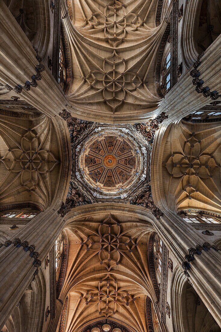 Cathedral, Salamanca, Spain