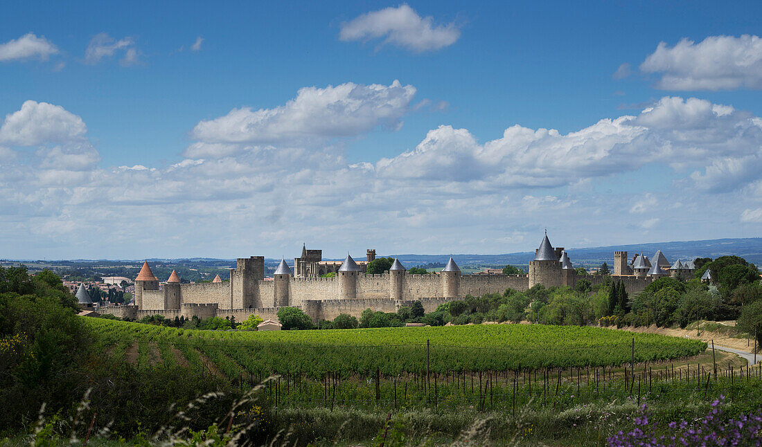 Medieval fortified city of Carcassonne, Languedoc-Roussillon, France