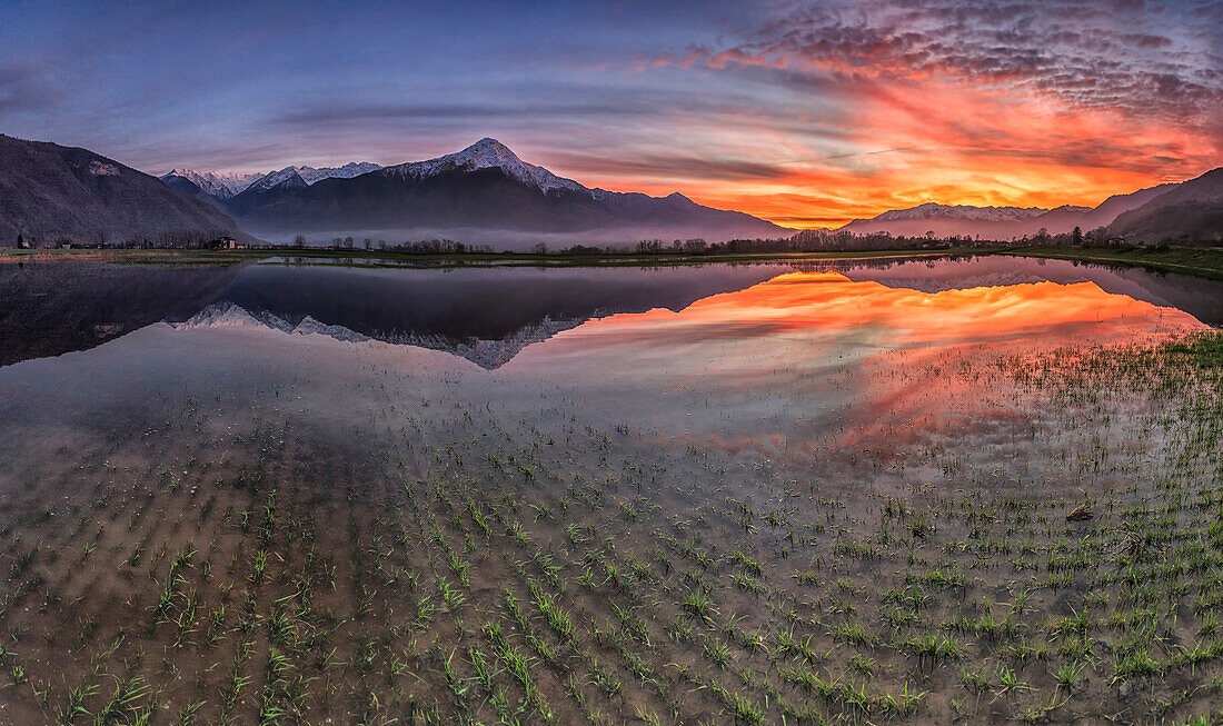 Natural reserve of Pian di Spagna flooded with Mount Legnone reflected in the water at sunset Valtellina Lombardy Italy Europe